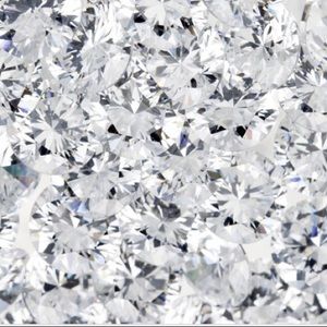 Meet your Posher, Dorothy